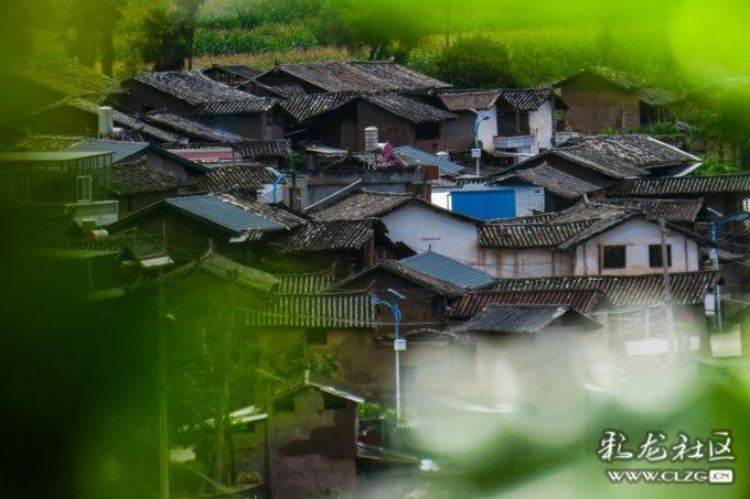 勇闯精灵大陆4